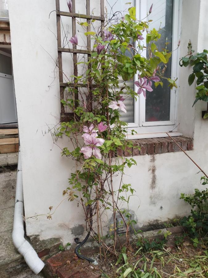 Residence Alexia Saint-Valery-en-Caux Ngoại thất bức ảnh